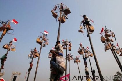 Panjat Pinang Linimassa