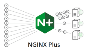 F5 dan Intel Hadirkan Solusi Keamanan Aplikasi Berbasis AI yang Lebih Andal 2 NGINX Plus