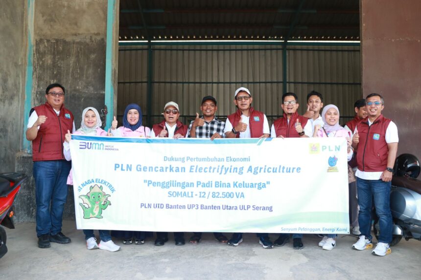 Pln Gencar Sosialisasi Keuntungan Dan Manfaat Electrifying Agriculture Linimassa Id