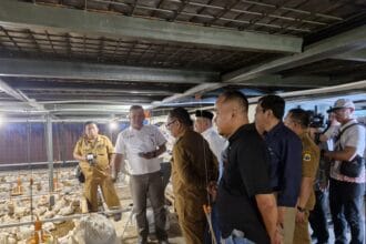 PLN Bekisar Electrinet