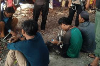 5 Pemburu Burung di Taman Nasional Ujung Kulon