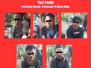 5 Pemburu Burung di Taman Nasional Ujung Kulon Ditangkap 2 5 Pelaku Perburan di Taman Nasional Ujung Kulon