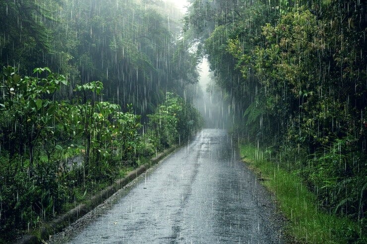 6 Langkah Jaga Daya Tahan Tubuh, Saat Puncak Musim Hujan 2 Daya Tahan Tubuh