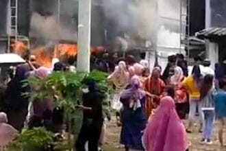 Peternakan ayam di padarincang