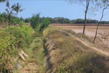Irigasi Pertanian di Cibaliung Pandeglang.