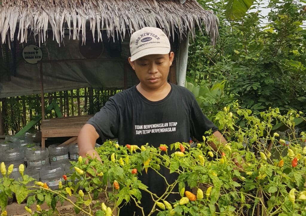 Dari Hobi Berkebun, Imam Munandar Bagikan Sayur Segar Setiap Jum’at 2 Berkebun