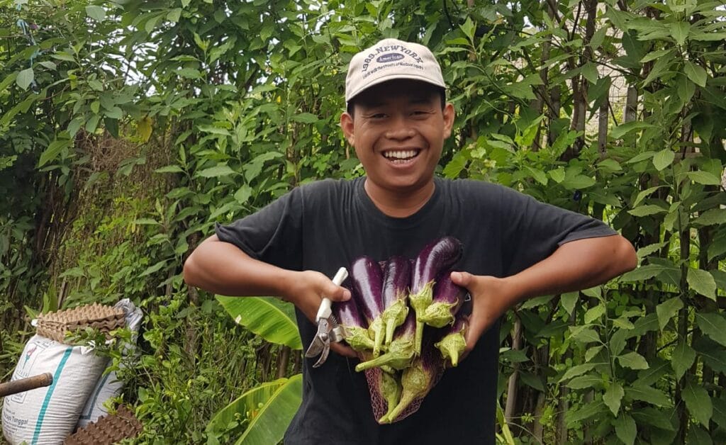 Dari Hobi Berkebun, Imam Munandar Bagikan Sayur Segar Setiap Jum’at 3 Berkebun