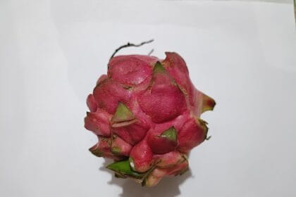 Buah Naga