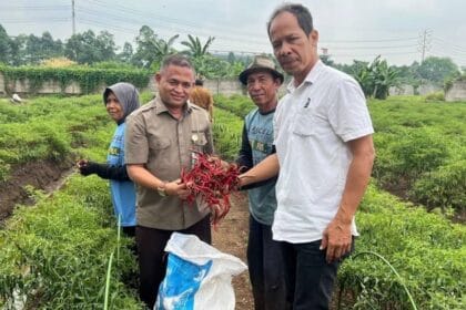 141395 182845aceb39c9e413e28fd549058cf8 141395.jpeg