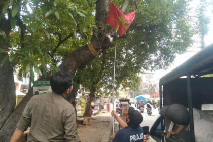 141931 9679ccb5a92f650b83fcf29e0a6a6775 141931.jpeg