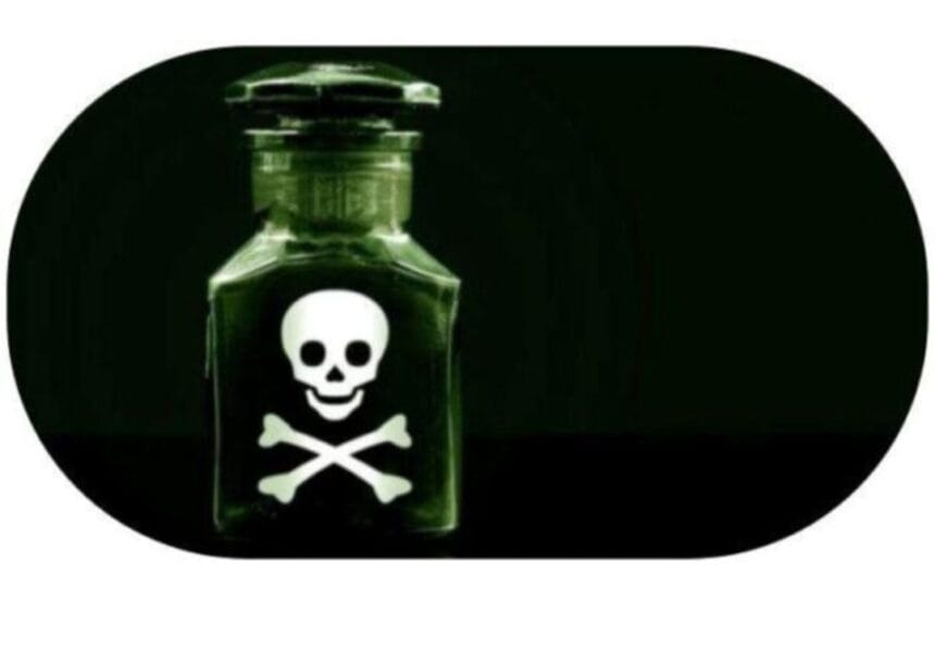 Screenshot 20241215 185046 Chrome