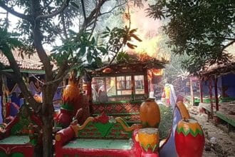 WhatsApp Image 2024 12 01 at 19.31.06