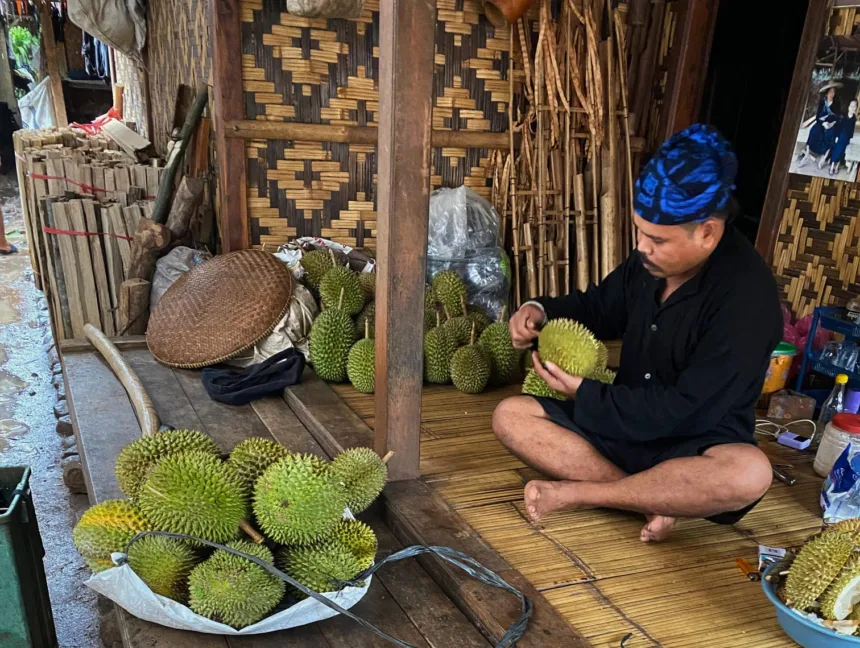Baduy