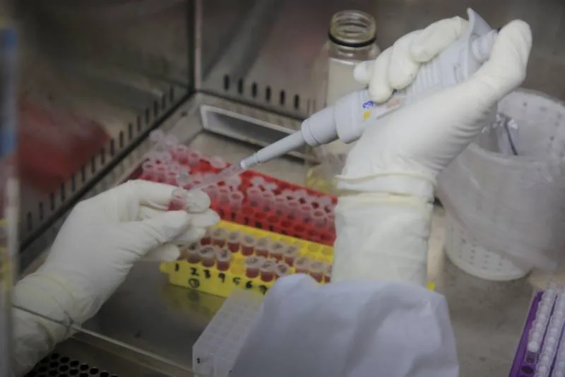 142305 182845aceb39c9e413e28fd549058cf8 142305.jpeg