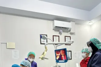 Kesehatan gigi dan mulut