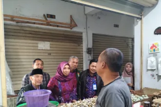 Cabai Kriting alami kenaikan harga