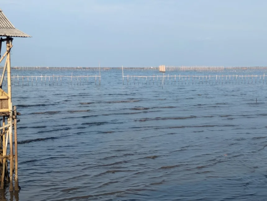 Viral Pagar Bambu di Laut Tangerang 30 KM, Ternyata Sengaja Dipasang Nelayan 1 Pagar Bambu