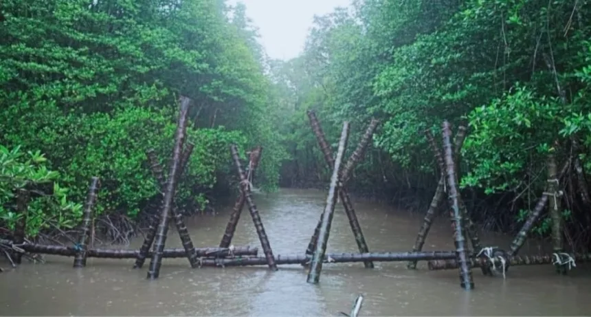 Antisipasi Pemburu Badak Jawa, Muara Sungai Semenanjung Ujung Kulon Ditutup 1 Badak Jawa