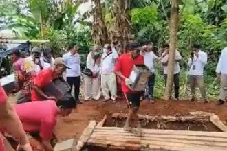 12 ton cincau