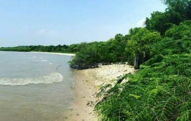 PIK 2 Incar Kasemen Kota Serang