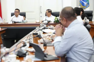 Andra Soni Temui Pramono Anung