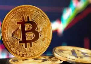 Platform investasi bitcoin