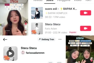 Stecu viral di TikTok