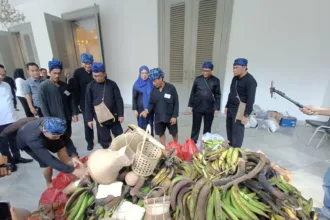 Seba Baduy 2025