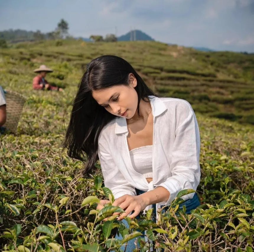 Belajar Disiplin Bangun Kebiasaan Baik Ala Maudy Ayunda 1 Maudy Ayunda