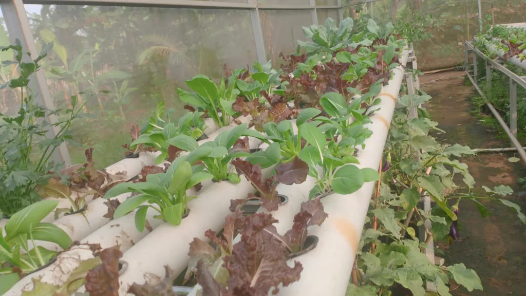 Smart Farm Academy Tangerang, Agrowisata Baru Nan Asri 2 Smart Farm Academy Tangerang