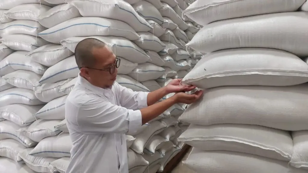 Stok Beras di Banten Melimpah, Produksi Surplus 2 Beras di Banten