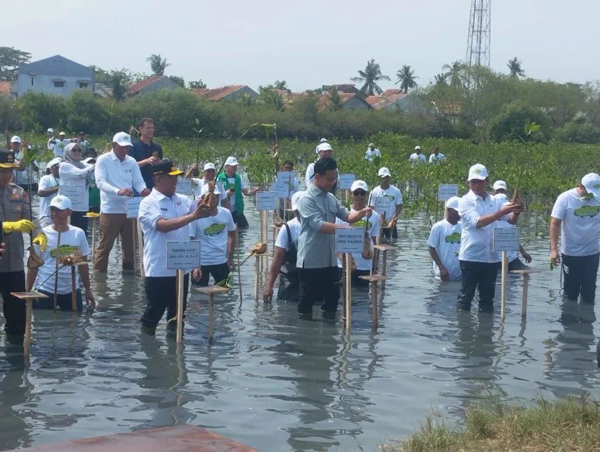 Wapres Gibran Dorong Rehabilitasi Mangrove di Ketapang Urban Aquaculture 1 Wapres Gibran