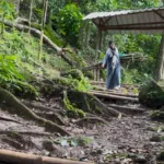 Jalur Pendakian Gunung Pulosari Ditutup Sementara, BPKH Perhutani Klarifikasi 9 Gunung Pulosari