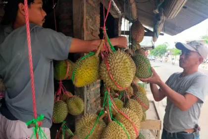 Durian Baduy