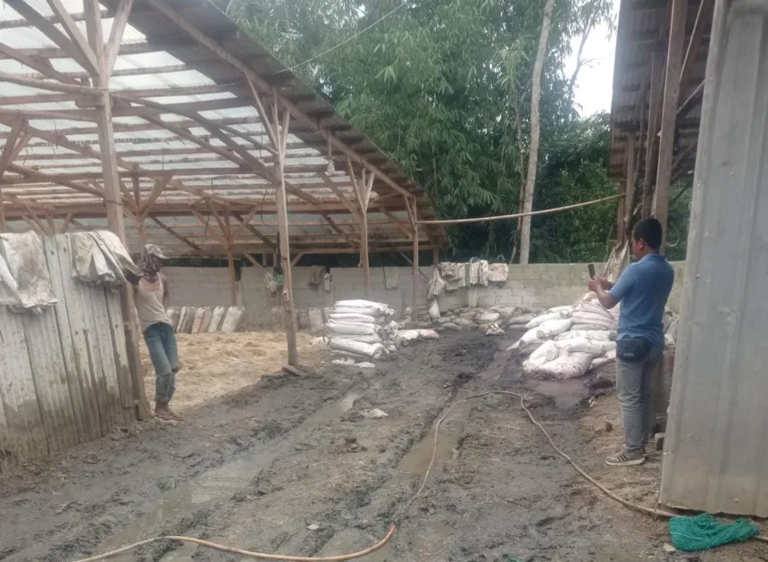 Aroma Limbah Ayam Ganggu Warga Maja, DLH Lebak Akan Turun Tangan 1 Limbah Ayam