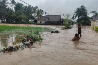 Pertanian di Kabupaten Serang