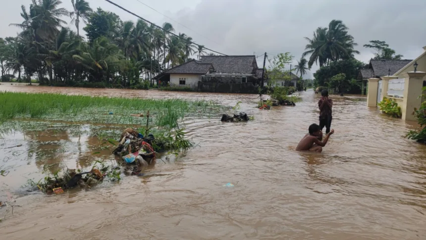 Sebanyak 220 Hektare Sawah di Kabupaten Serang Gagal Panen Akibat Banjir 1 Pertanian di Kabupaten Serang