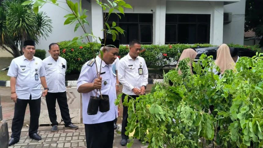 Program sejuta pohon