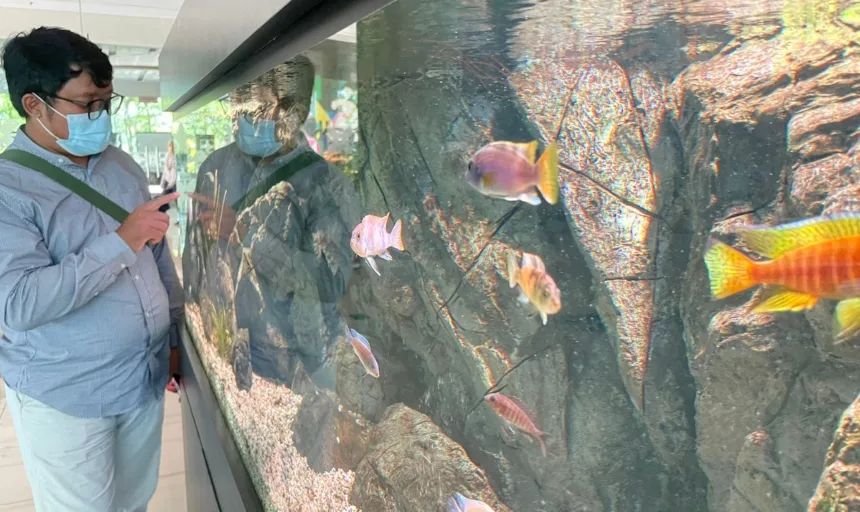 Mubazir, Pemkot Tangsel Habiskan Ratusan Juta untuk Sewa Aquarium 1 Pemkot Tangsel