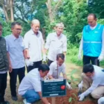rehabilitasi hutan