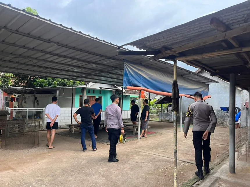 Diduga Jadi Arena Sabung Ayam, Lokasi di Belakang RS Bhayangkara Banten Digerebek Polisi 1 Sabung Ayam