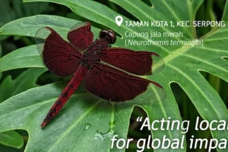 Hari Keanekaragaman Hayati International DLH Kota Tangsel Ajak Warga Jaga Sumber Alam