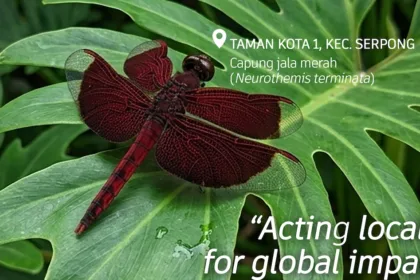 Hari Keanekaragaman Hayati International DLH Kota Tangsel Ajak Warga Jaga Sumber Alam