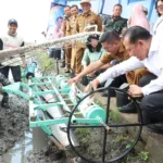 Beras di Banten
