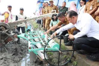 Beras di Banten