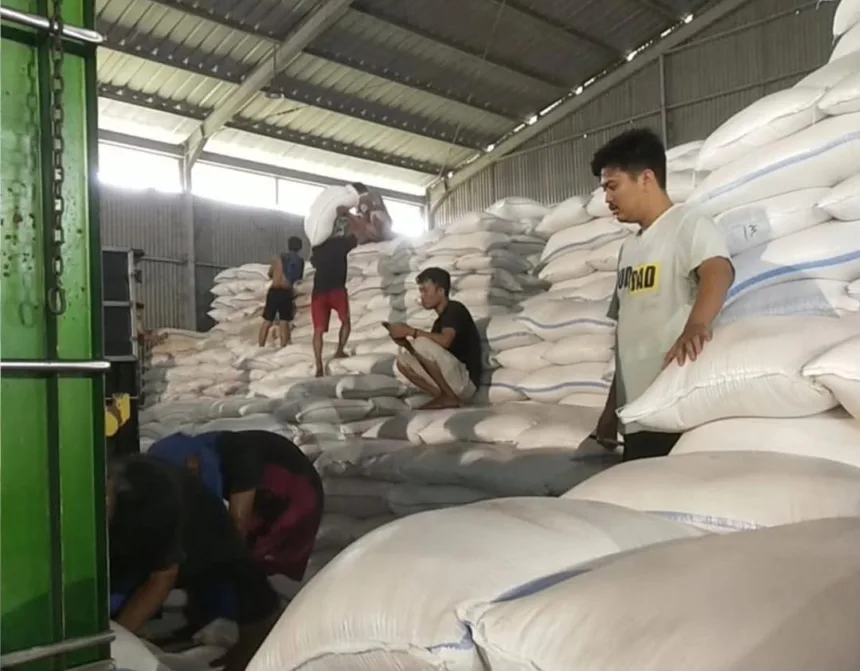 Bulog Lebak Telah Serap 35 Ribu Ton Gabah, Kejar Target 48 Ribu Ton pada 2026 1 gabah