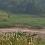 Tambang pasir