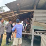 Kambing di Kabupaten Serang