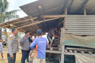 Kambing di Kabupaten Serang