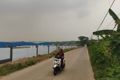 Tunjung Teja